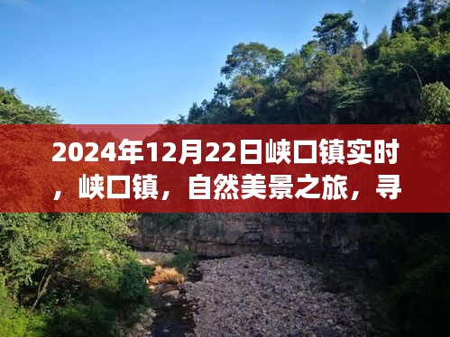 峽口鎮(zhèn)自然美景之旅，探尋內(nèi)心寧?kù)o與平和的秘境（2024年12月22日實(shí)時(shí)報(bào)道）