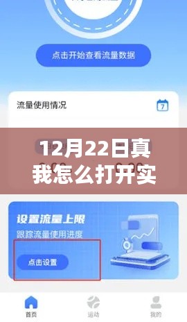初學者也能輕松掌握！真我手機實時流量開啟詳細步驟指南（12月22日更新）