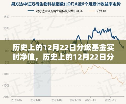 歷史上的12月22日分級基金實時凈值詳解，查詢步驟指南（適用于初學者與進階用戶）