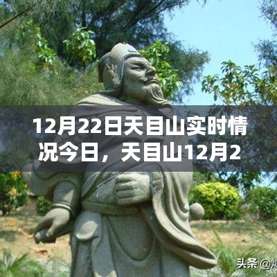 天目山12月22日實(shí)時(shí)情況探析，某某觀點(diǎn)下的深度闡述