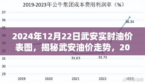 揭秘武安油價(jià)走勢，最新油價(jià)表圖與解析（2024年12月22日）