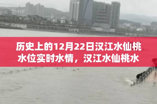 漢江水仙桃水位揭秘，探尋歷史特殊水情，實(shí)時(shí)掌握12月22日水位動(dòng)態(tài)