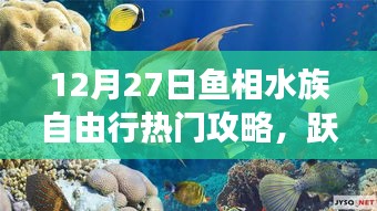 12月27日魚(yú)相水族心靈之旅，深藍(lán)海洋自由行攻略