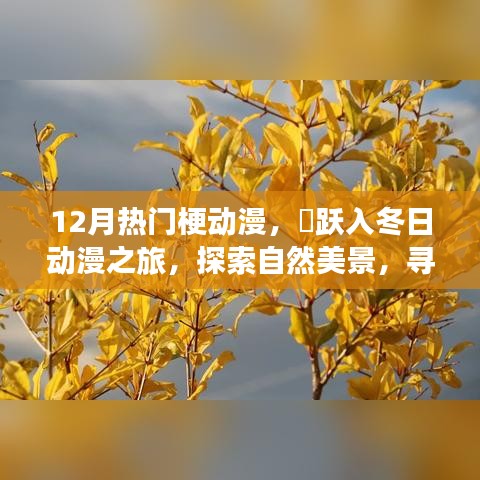 12月熱門(mén)梗動(dòng)漫，躍入冬日探索之旅，自然美景與內(nèi)心的奇跡