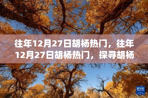 探尋胡楊魅力與熱門事件背后的故事，歷年12月27日胡楊之旅的熱門揭秘