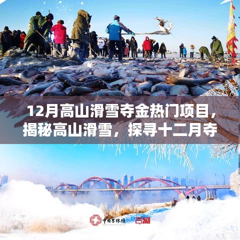 揭秘高山滑雪，十二月奪金熱門項目的魅力與要點解析