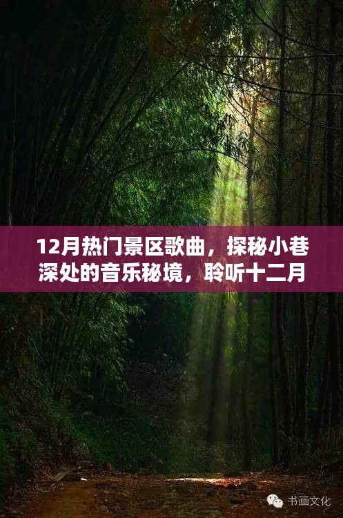 探秘十二月熱門景區(qū)音樂(lè)秘境，小巷深處的歌曲精選