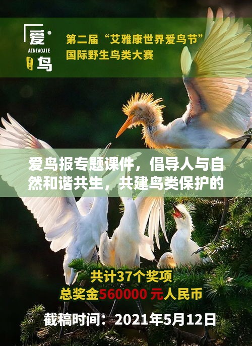 愛鳥報專題課件，倡導(dǎo)人與自然和諧共生，共建鳥類保護(hù)的美好未來