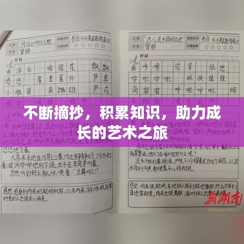 不斷摘抄，積累知識(shí)，助力成長(zhǎng)的藝術(shù)之旅