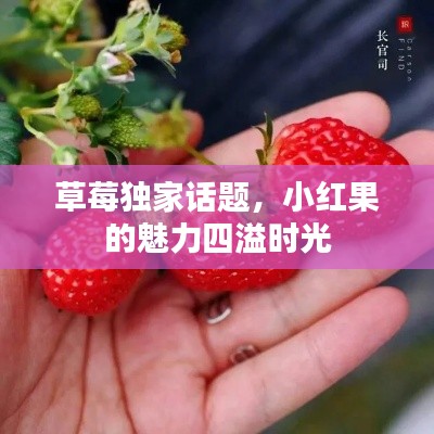 草莓獨(dú)家話題，小紅果的魅力四溢時(shí)光