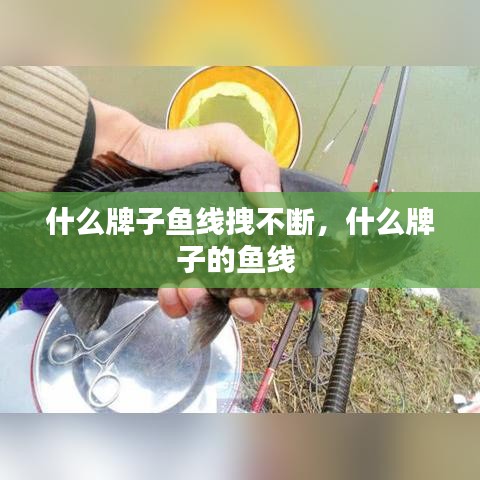 什么牌子魚線拽不斷，什么牌子的魚線 