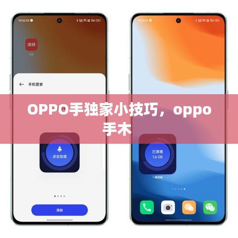 OPPO手獨家小技巧，oppo手木 