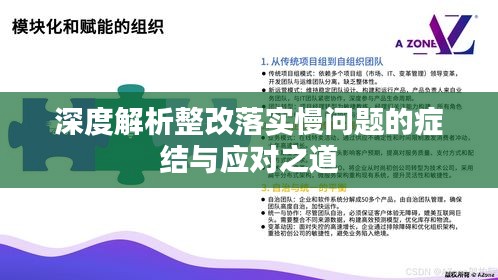 深度解析整改落實慢問題的癥結與應對之道