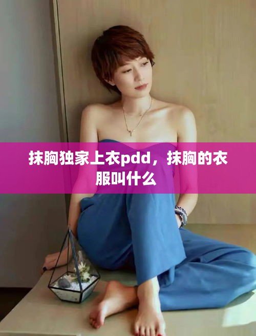 抹胸獨家上衣pdd，抹胸的衣服叫什么 