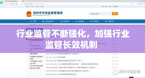 行業(yè)監(jiān)管不斷強化，加強行業(yè)監(jiān)管長效機制 