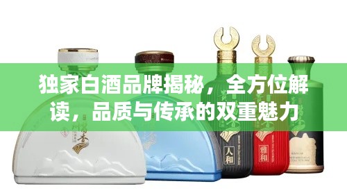 獨家白酒品牌揭秘，全方位解讀，品質(zhì)與傳承的雙重魅力