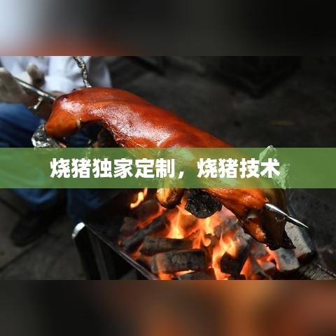 燒豬獨(dú)家定制，燒豬技術(shù) 