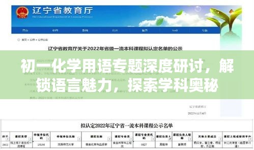 初一化學(xué)用語(yǔ)專題深度研討，解鎖語(yǔ)言魅力，探索學(xué)科奧秘