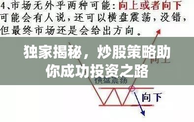 獨家揭秘，炒股策略助你成功投資之路