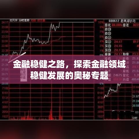 金融穩(wěn)健之路，探索金融領(lǐng)域穩(wěn)健發(fā)展的奧秘專題