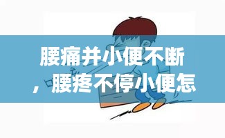 腰痛并小便不斷，腰疼不停小便怎么回事 