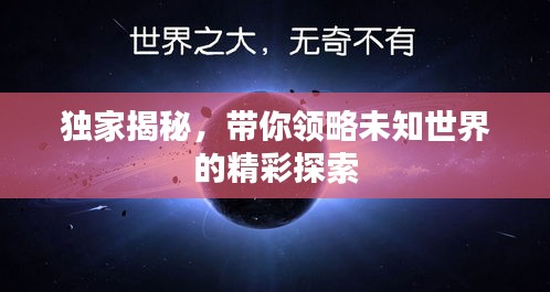 獨家揭秘，帶你領(lǐng)略未知世界的精彩探索