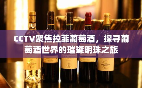 CCTV聚焦拉菲葡萄酒，探尋葡萄酒世界的璀璨明珠之旅