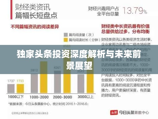 獨家頭條投資深度解析與未來前景展望