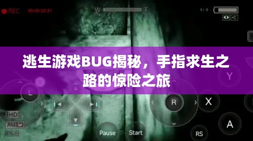 逃生游戲BUG揭秘，手指求生之路的驚險(xiǎn)之旅