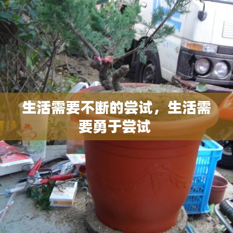 生活需要不斷的嘗試，生活需要勇于嘗試 