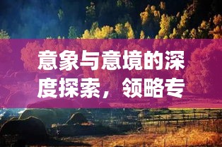 意象與意境的深度探索，領(lǐng)略專題魅力