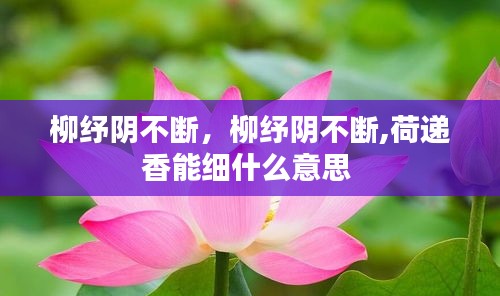 柳紓陰不斷，柳紓陰不斷,荷遞香能細(xì)什么意思 