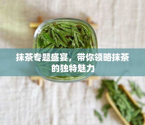 抹茶專題盛宴，帶你領(lǐng)略抹茶的獨(dú)特魅力