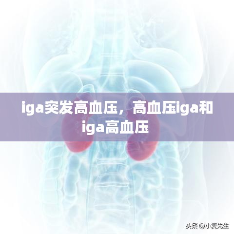 iga突發(fā)高血壓，高血壓iga和iga高血壓 