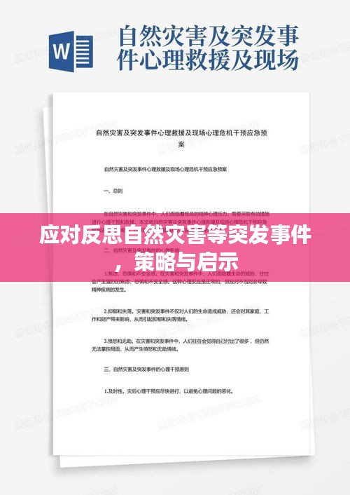 應(yīng)對反思自然災(zāi)害等突發(fā)事件，策略與啟示