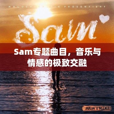 Sam專題曲目，音樂與情感的極致交融