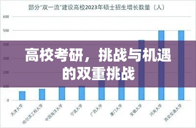 高?？佳?，挑戰(zhàn)與機(jī)遇的雙重挑戰(zhàn)