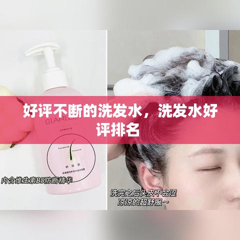 好評不斷的洗發(fā)水，洗發(fā)水好評排名 