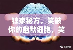 獨(dú)家秘方，笑破你的幽默細(xì)胞，笑料大解密！