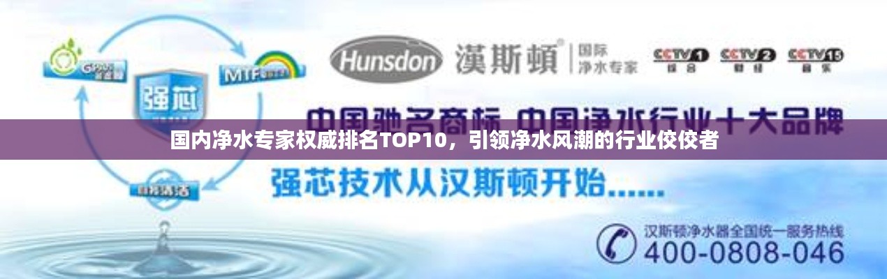 國內(nèi)凈水專家權(quán)威排名TOP10，引領(lǐng)凈水風(fēng)潮的行業(yè)佼佼者