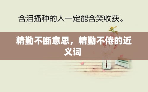 精勤不斷意思，精勤不倦的近義詞 