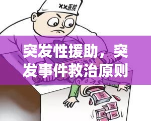 突發(fā)性援助，突發(fā)事件救治原則 