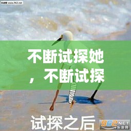 不斷試探她，不斷試探表情包 