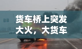 貨車橋上突發(fā)大火，大貨車起火,司機(jī)冒著生命 