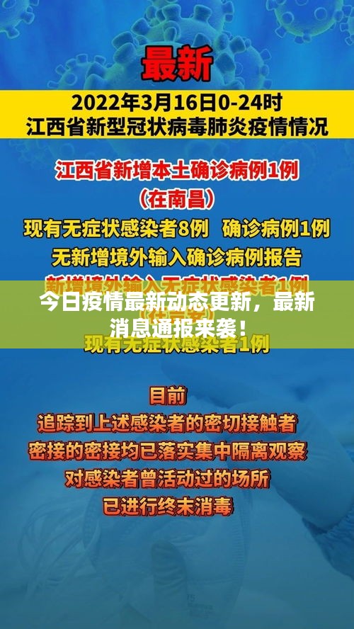 今日疫情最新動態(tài)更新，最新消息通報來襲！