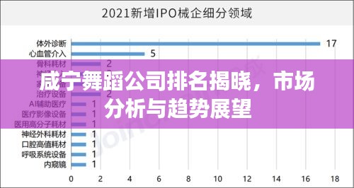 咸寧舞蹈公司排名揭曉，市場(chǎng)分析與趨勢(shì)展望