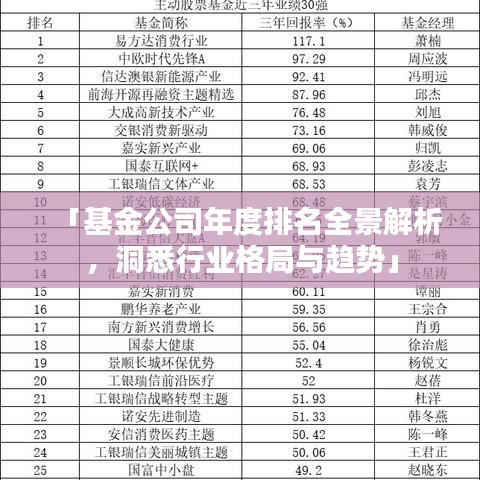 「基金公司年度排名全景解析，洞悉行業(yè)格局與趨勢」