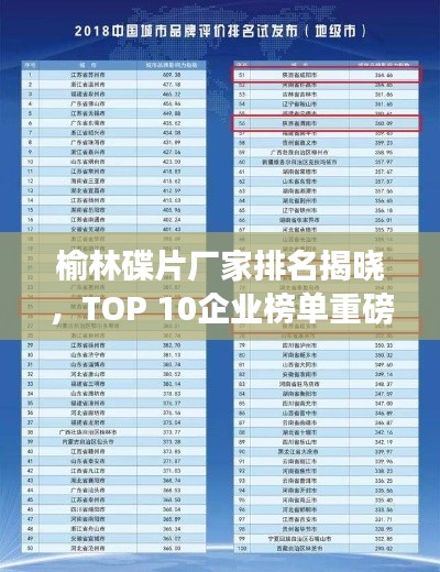 榆林碟片廠家排名揭曉，TOP 10企業(yè)榜單重磅出爐！