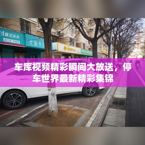 車庫視頻精彩瞬間大放送，停車世界最新精彩集錦