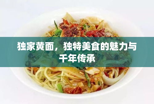 獨(dú)家黃面，獨(dú)特美食的魅力與千年傳承